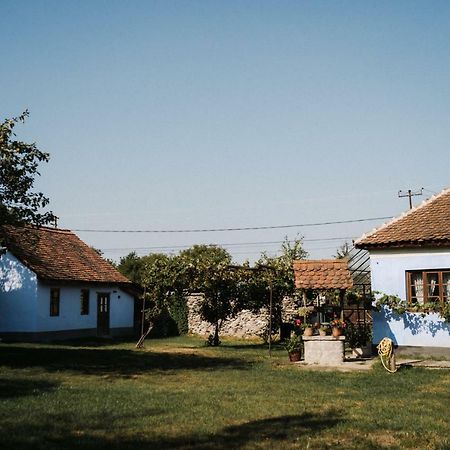 Gasthaus La Mama Anica Porumbacu de Sus Exterior foto