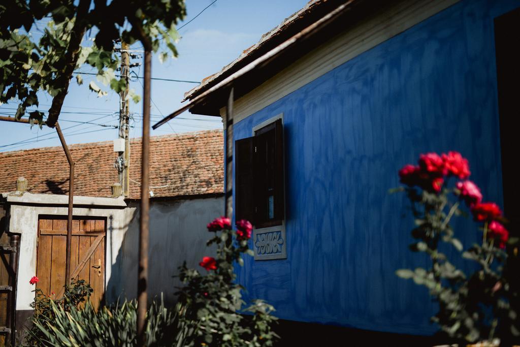 Gasthaus La Mama Anica Porumbacu de Sus Exterior foto